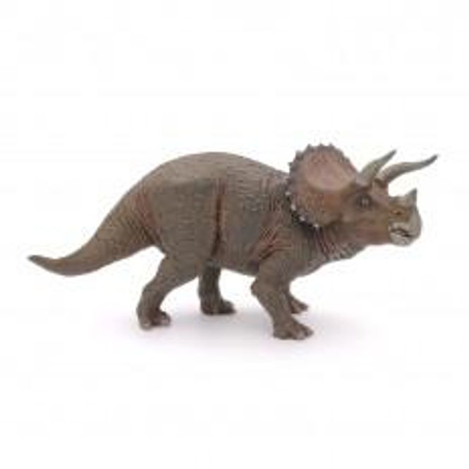 Hovedbilde Triceratops